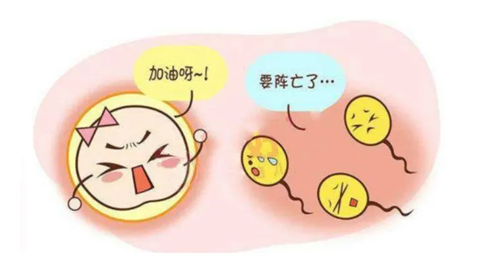 弱精怀孕了会影响胚胎质量吗