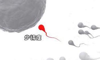 少精症的病因是什么？能做试管吗？