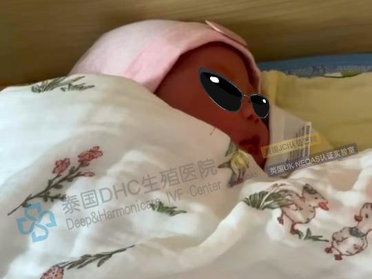 泰国DHC每日好孕播报0728