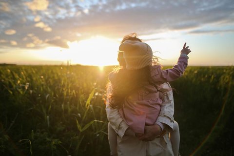  试管婴儿的“土壤”：如何科学评估和调理子宫内膜？