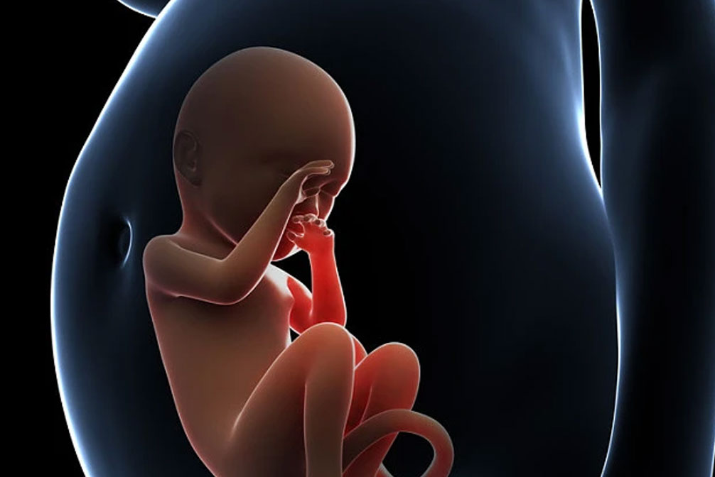 子宫腺肌症能做试管婴儿吗？子宫腺肌症做试管婴儿成功率