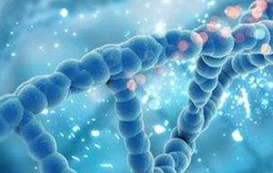第三代泰国试管技术有什么效果移植过后有不适怎么办？