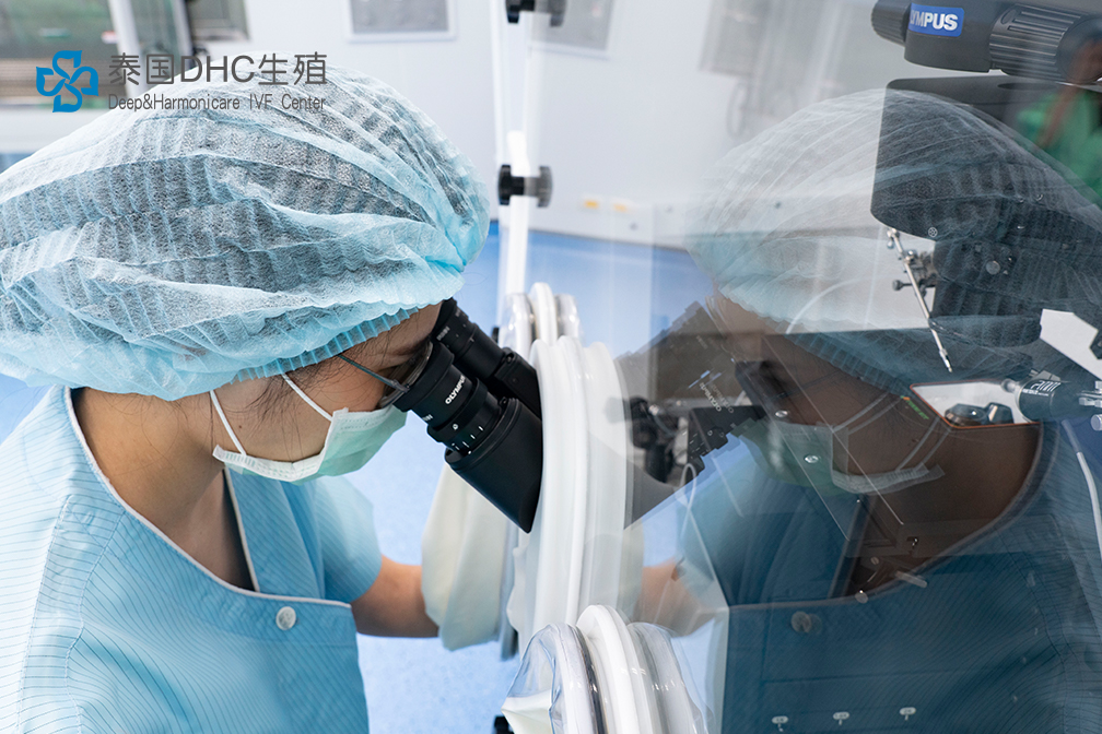 泰国试管婴儿前期身体检查对成功率有哪些影响？