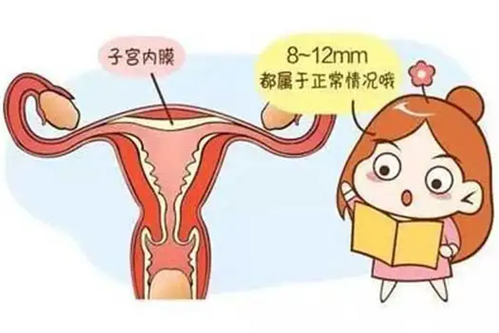 试管移植后怎么做才能增加试管成功率呢？