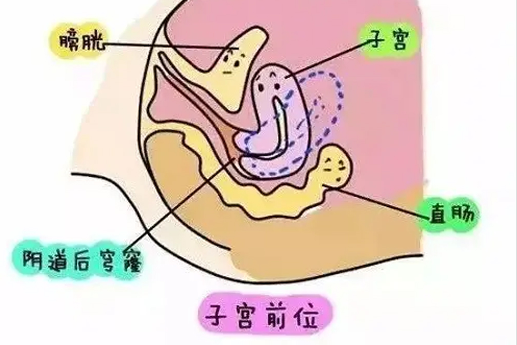 卵泡发育不成熟，泰国试管婴儿促排卵能解决吗？