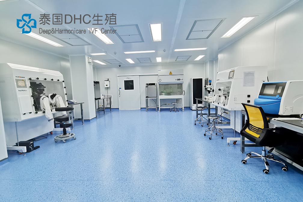 泰国试管婴儿——囊胚移植的优点以及适用人群