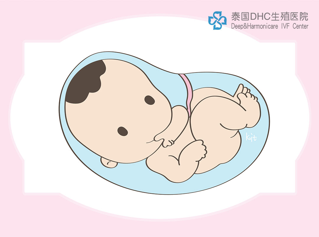 泰国DHC：去泰国试管好吗？去泰国试管怀孕的费用与注意事项