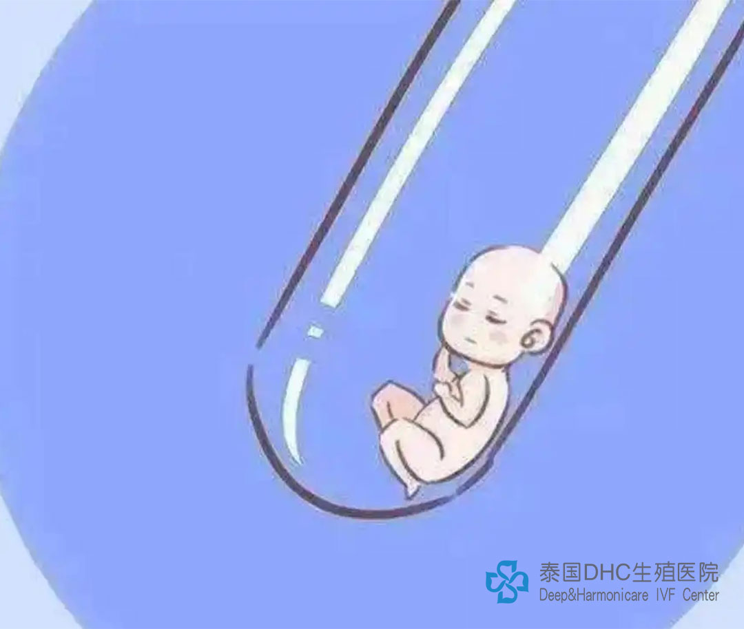 泰国DHC：泰国试管专机——生命的接力赛