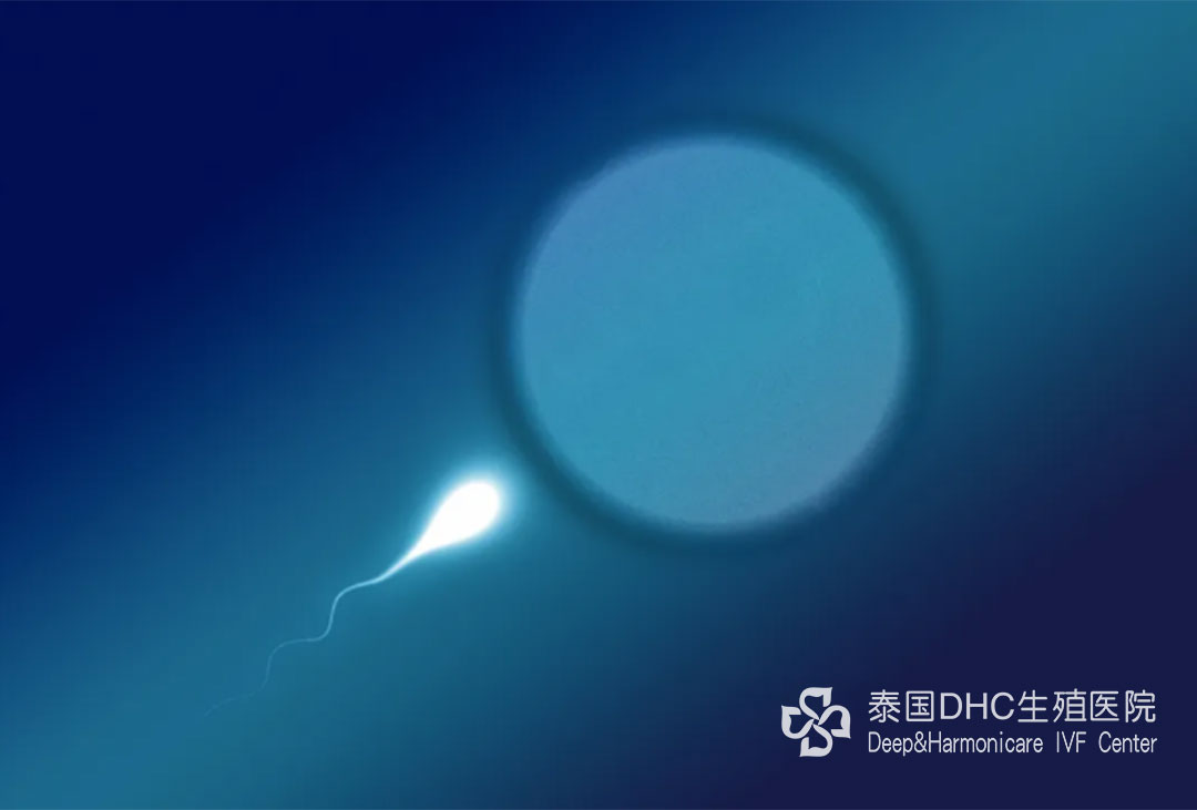配图 (29)