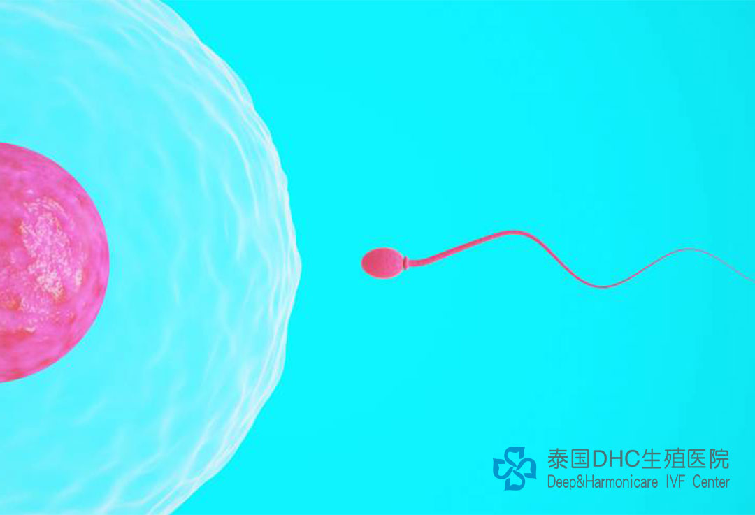 配图 (55)