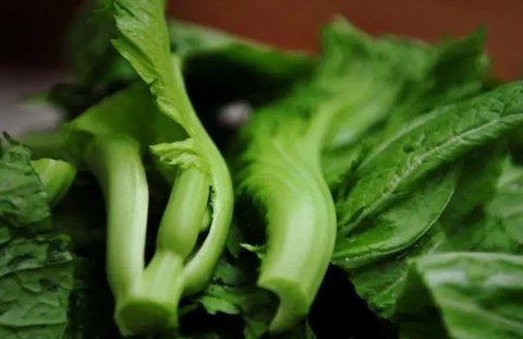 芥菜哪些人不能吃？芥菜的禁忌和最佳搭配