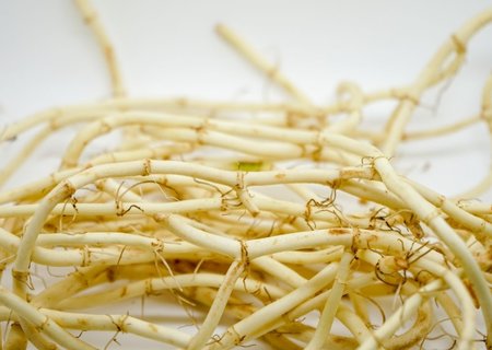 鱼腥草哪些人群不宜吃？鱼腥草不能和什么一起吃？