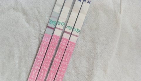 排卵试纸强阳是排卵了还是没排？排卵试纸强阳后多久排卵？