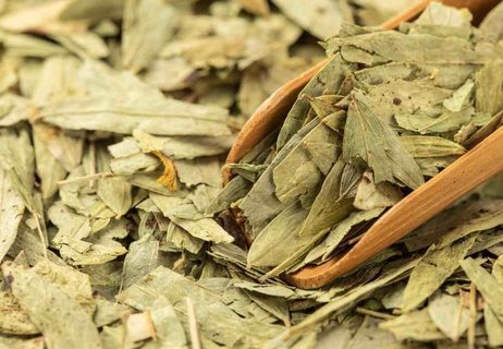 番泻叶减肥有效果吗？番泻叶减肥的正确服用方法