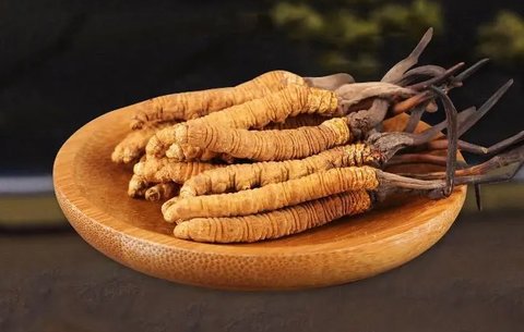 冬虫夏草对备孕有帮助吗？冬虫夏草对女性的功效与作用