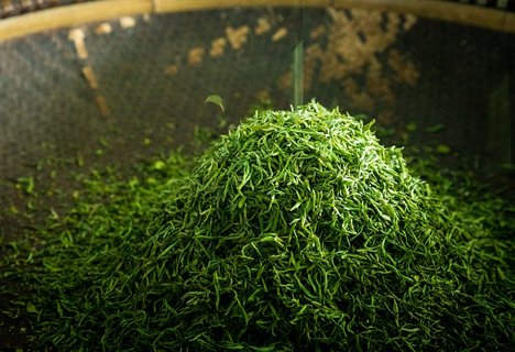经常喝绿茶会怎么样？长期喝绿茶的好处与功效