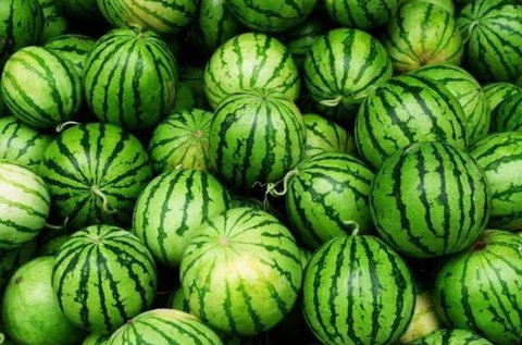 西瓜是碱性还是酸性食物？西瓜的食物性质有哪些？