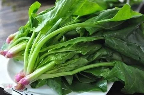 孕妇不能吃哪些蔬菜？孕妇禁止吃的12种蔬菜