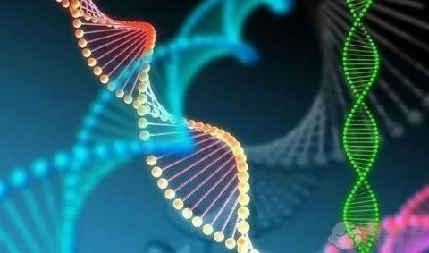 tuBB8基因突变能否怀孕？TUBB8突变是不是就不能怀孕了？