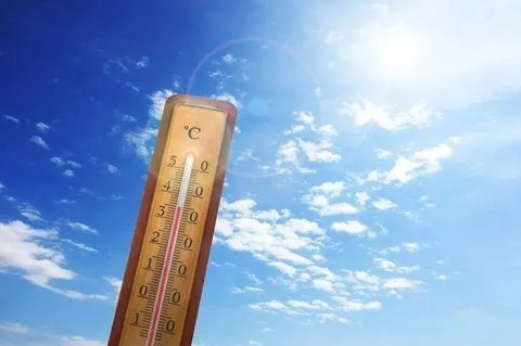 三伏天怎么养生排寒湿？三伏天养生知识大全