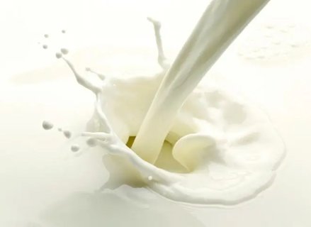 把纯牛奶当水喝会怎样？牛奶当水喝有什么坏处？