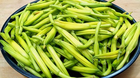 新鲜黄花菜怎么处理才能吃？新鲜黄花菜的处理方法和做法