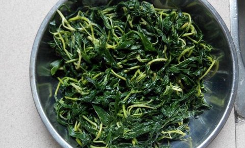 麻叶菜吃了有什么好处？麻叶菜的功效和作用禁忌