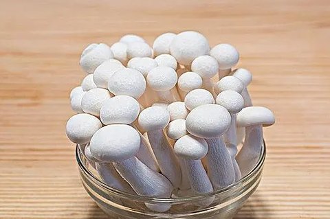 白玉菇和海鲜菇哪个好一些？白玉菇和海鲜菇的区别