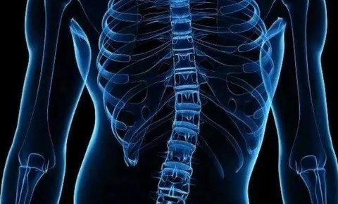 一个动作自测是否有脊柱侧弯：简单步骤与重要性