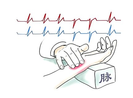 脉象分为哪几种：中医脉诊的基础知识