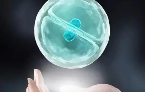 辅助生殖技术包括哪些：全面解析生育辅助手段