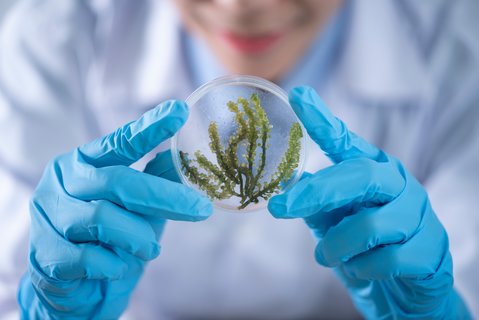 泰国助孕机构哪家好点：泰国DHC生殖医院与同行比较
