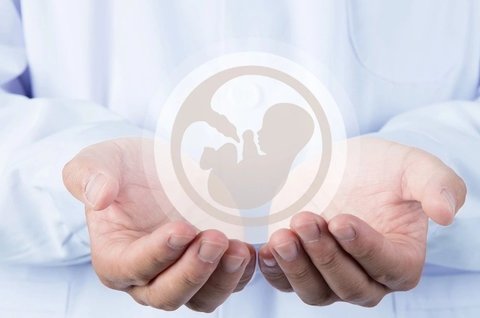 子宫什么情况不能做试管婴儿？评估生育条件的关键因素