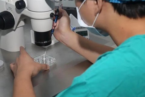 冻卵是什么意思？冻卵的好处与坏处