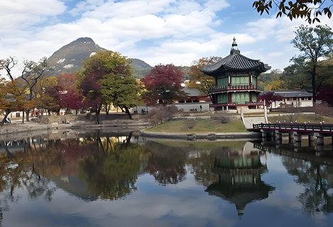 韩国女性为何不愿生孩子？韩国生育率低的原因