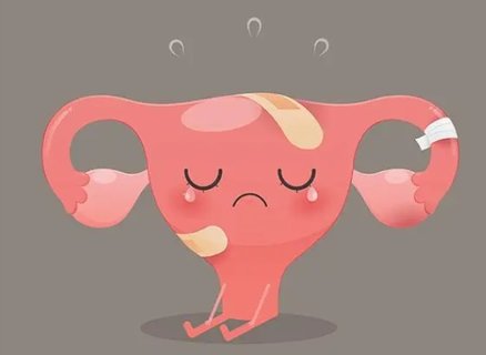 卵巢早衰吃什么可以补回来？卵巢早衰必吃的食物