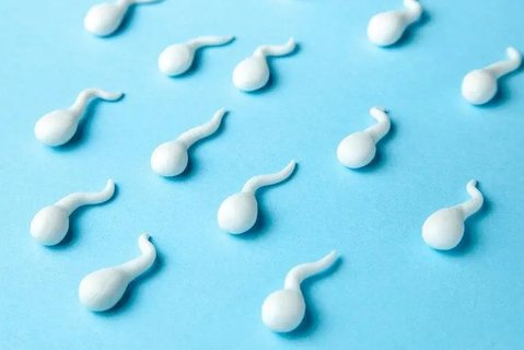 精子畸形率高可以治疗吗？改善精子质量的方法