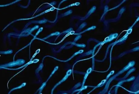 精子畸形率高能做试管婴儿吗？畸精症做试管成功率