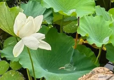 夏天这7种病或是省出来！夏天切不可瞎省钱