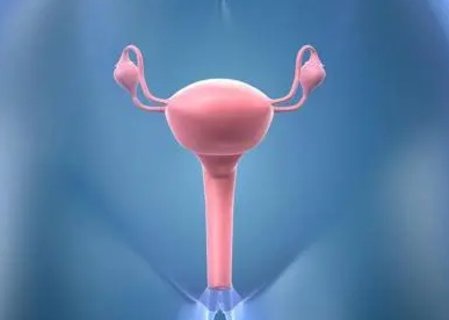 子宫下垂能不能怀孕？子宫下垂对怀孕的影响