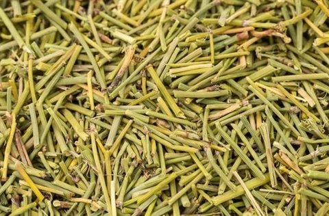 蜜麻黄要提前煮吗？蜜麻黄的煎煮方法窍门