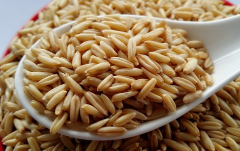 燕麦米好为什么不建议吃？燕麦米的坏处