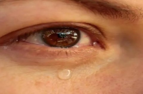 眼睛进异物了怎么办？眼睛进异物了可以这样做！