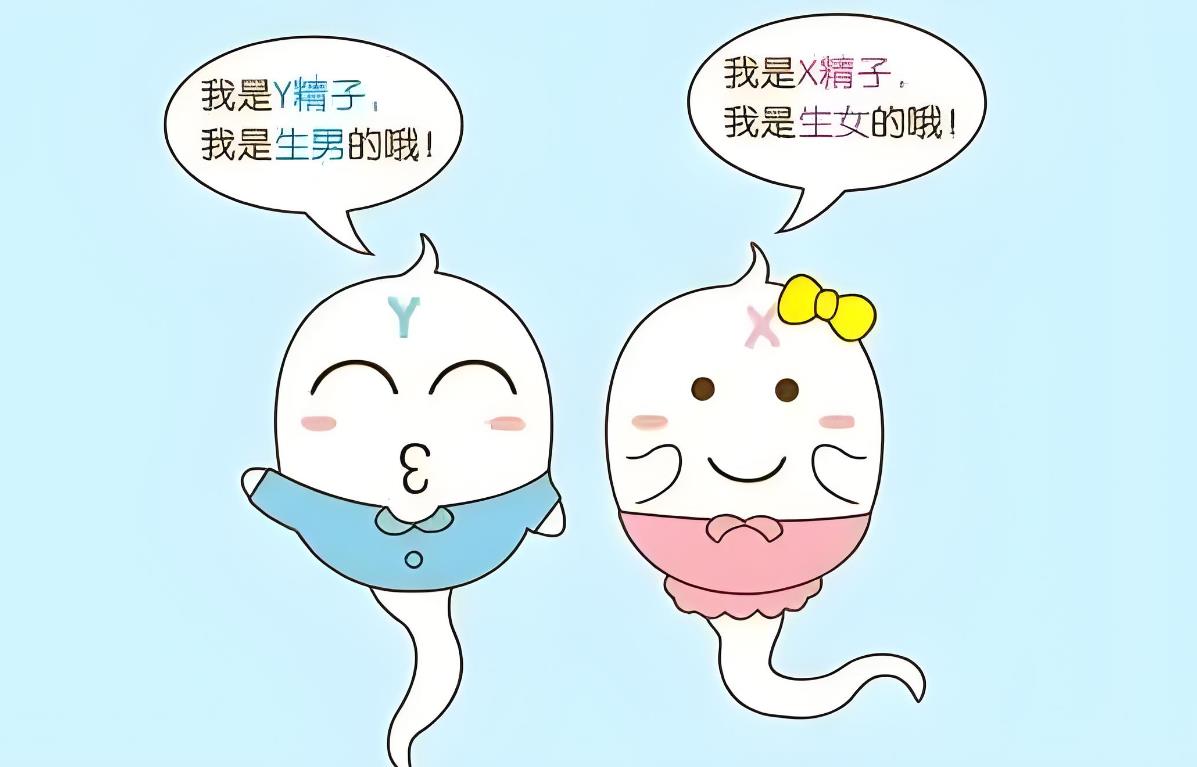怀男怀女