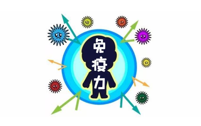 增强免疫力