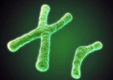 染色体异常的孩子智力一定有问题吗？解读异常对孩子智力的影响