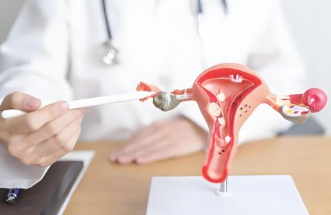 子宫内膜厚怎么办能治好吗？子宫内膜厚的治疗方法