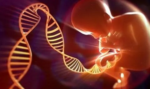 试管婴儿可以规避遗传病吗？试管婴儿可以规避的遗传病