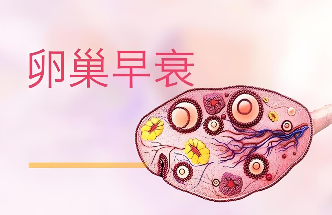 泰国试管前卵巢早衰该怎样调理,卵巢早衰泰国试管婴儿流程