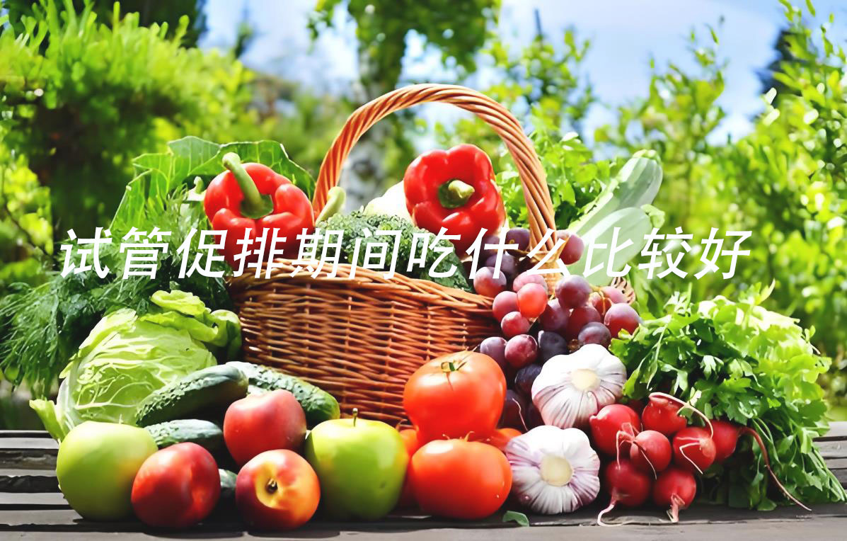 试管促排期，吃什么让卵泡长得好？